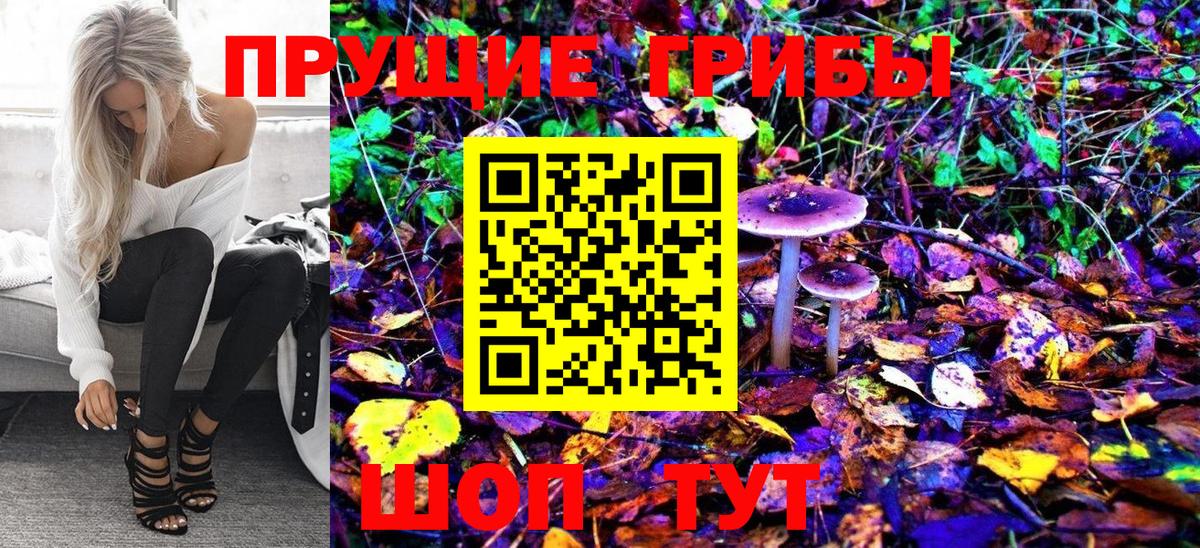 Грозный  Галлюциногенные грибы Cubensis  Вход с VPN 